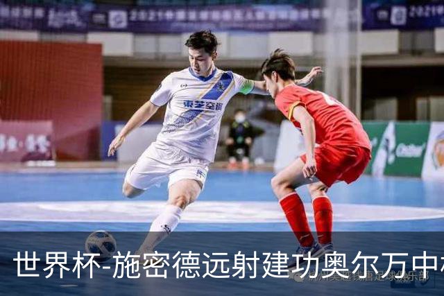 世界杯-施密德远射建功奥尔万中框 半场奥地利1-0约旦